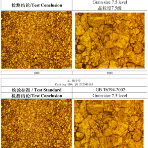 Metallographic report